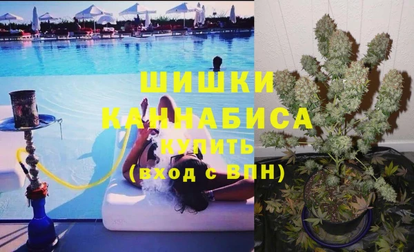 тгк Алексин