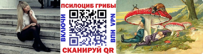 это как зайти Балашиха Галлюциногенные грибы мухоморы